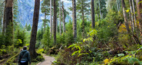 Ice caves trail