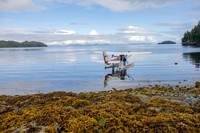 Disk Island PWS