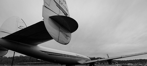 Connie tail