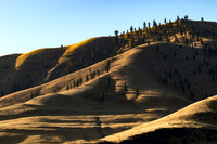 Chelan hills