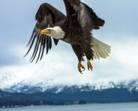 Eye on the prize