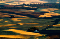 Palouse sunrise