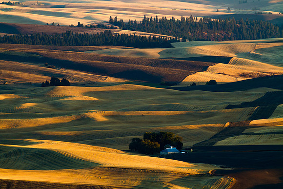 Palouse sunrise