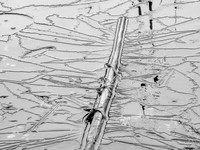 ice patterns